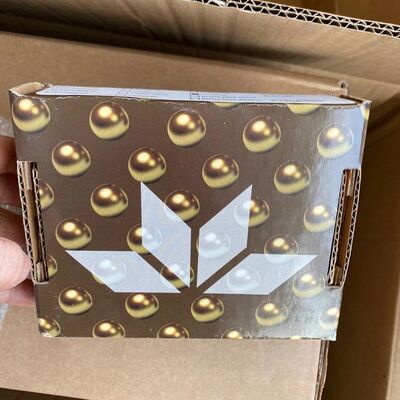 Teledyne CLASS E-2 | C57283-E2 Long-Life Oxygen Sensor for N₂ Purity