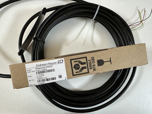 Endress+Hauser FMX21-1CE620 | Levelflex M Guided Wave Radar Transmitter, 2-Wire 4-20mA HART