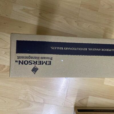 Rosemount 3900-02-10 Guided Wave Radar Level Transmitter | Continuous Level & Interface Measurement