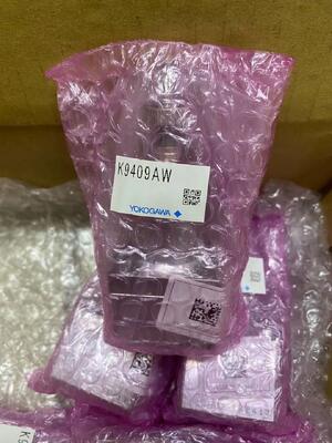 YOKOGAWA K9409AW Temperature Sensor | RTD Pt100, 4-Wire, 1/2" NPT, with Head, High Accuracy