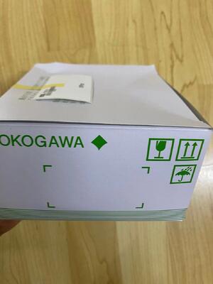 YOKOGAWA YCB138 DC/DC Converter | 24V Input, 24V Output, 2.5A, DIN Rail, Isolated