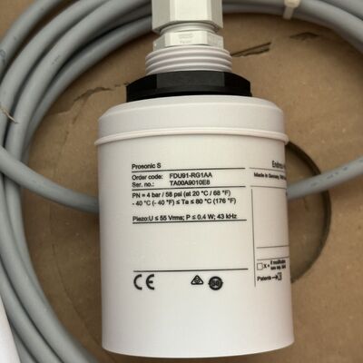 Endress+Hauser FDU91-RG1AA Flow Meter | Vortex, 4-20mA+HART, DN25, IP67, for Steam/Gas/Liquids