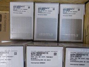 AUMA Z014.811A01 Gearbox | Worm Gear Set, 1/81.1 Ratio, 5.5kW, for Valve Actuator, Cast Iron