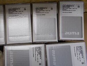 AUMA Z014.811A01 Gearbox | Worm Gear Set, 1/81.1 Ratio, 5.5kW, for Valve Actuator, Cast Iron