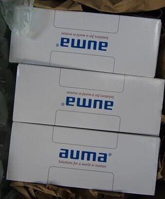 AUMA Z043.55601 Gearbox | Worm Gear Set, 1/55.6 Ratio, Cast Iron, for Valve Actuator Drive