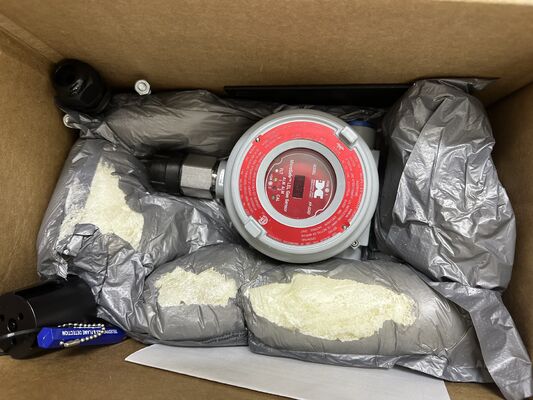 Teledyne Detcon FP-524D Gas Detector | 0-100% LEL, 4-20mA, Explosion Proof