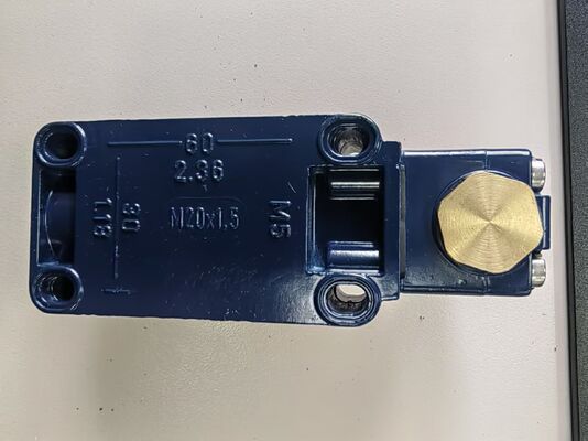 Schmersal M3V4D 330-11Y-M20 | M330 Limit Switch Fork Roller Lever