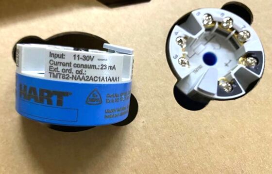 Endress+Hauser TMT82-C6D4101 | 2-Channel HART 7 Temperature Transmitter